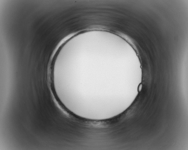 X0000083591003200703091715