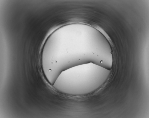 X0000083591004200703091715