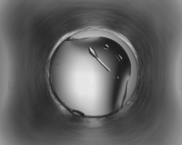 X0000083591005200703091715