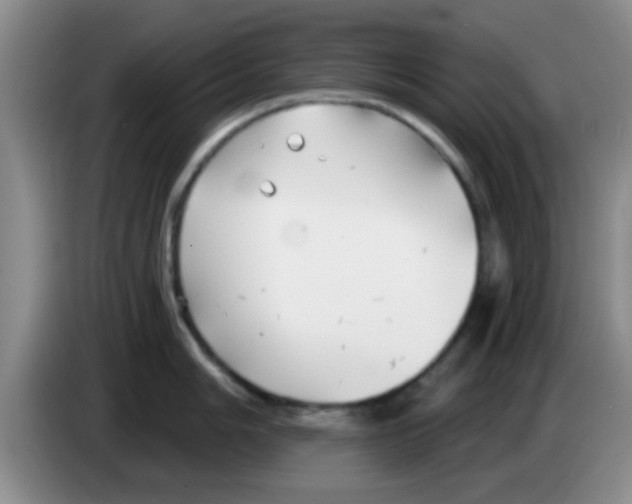 X0000083591006200703091715