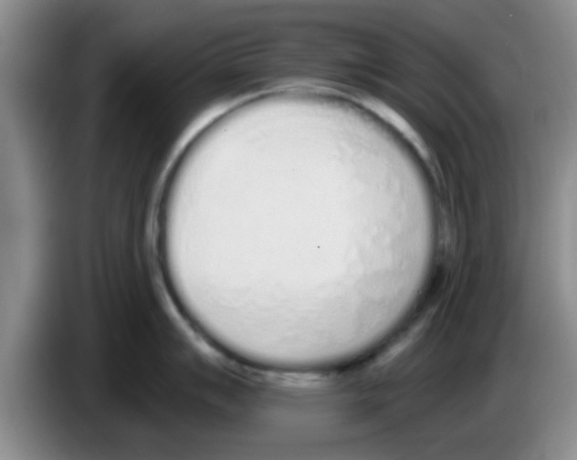 X0000083591007200703091715