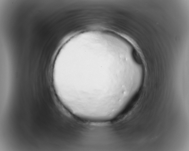 X0000083591008200703091715