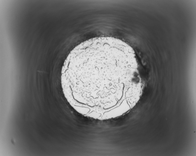 X0000083591009200703091714