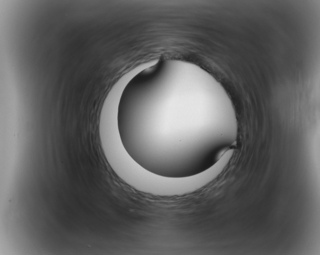 X0000083591010200703091714