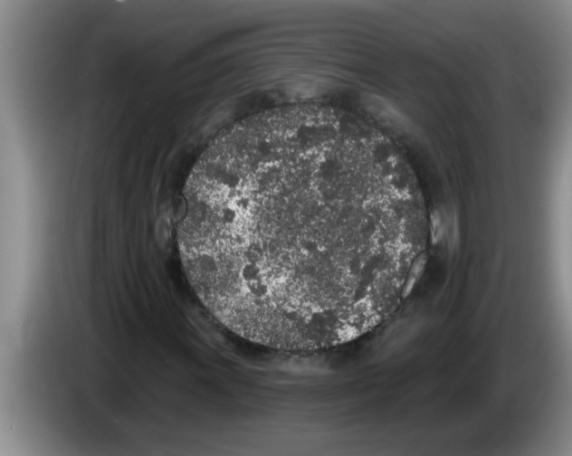 X0000083591011200703091714