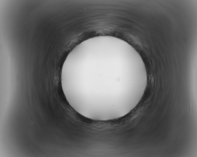 X0000083591012200703091714