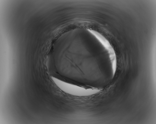 X0000083591013200703091715
