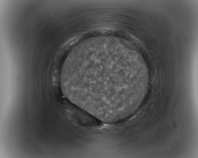 X0000083591014200703091715