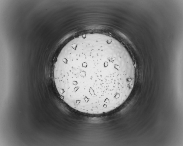 X0000083591017200703091715