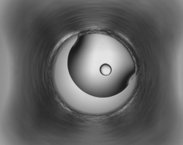 X0000083591018200703091715