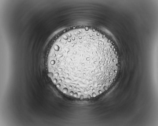 X0000083591019200703091715
