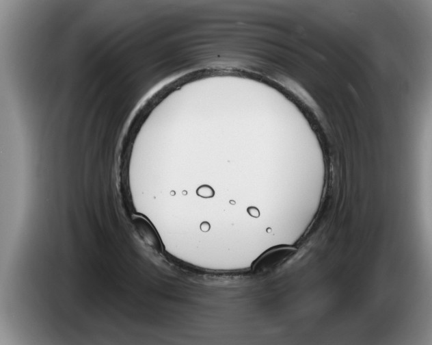 X0000083591020200703091715