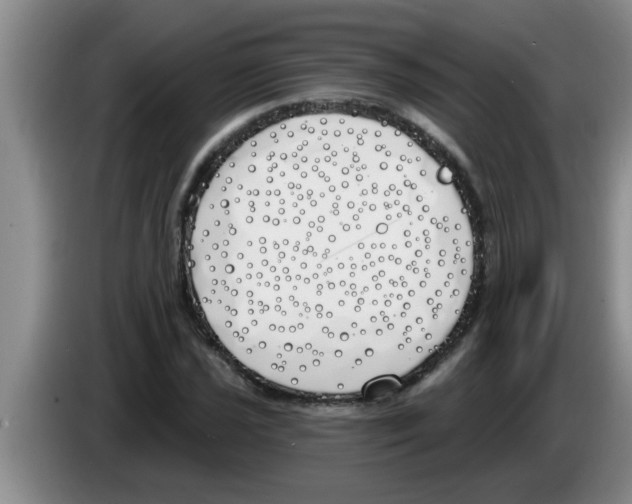 X0000083591021200703091715
