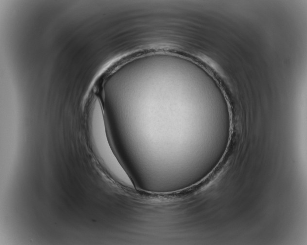 X0000083591022200703091715