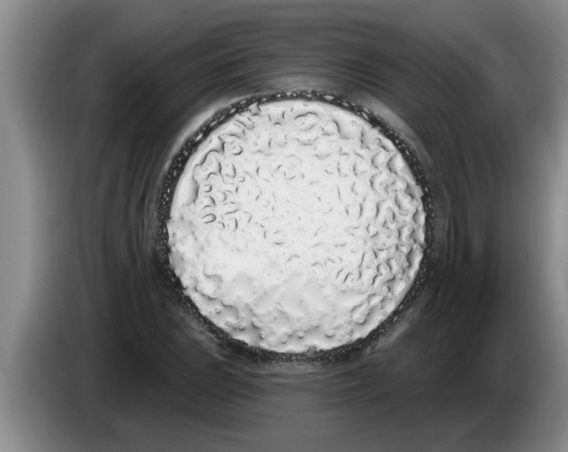 X0000083591023200703091715