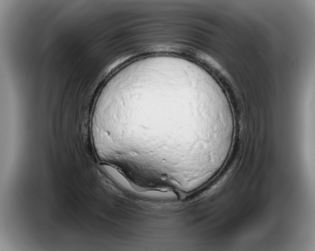 X0000083591025200703091715