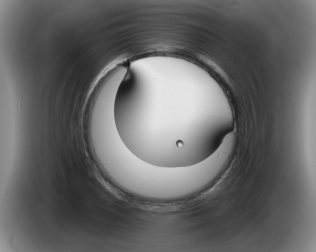 X0000083591026200703091715