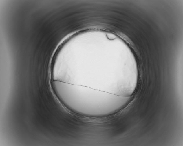 X0000083591028200703091715