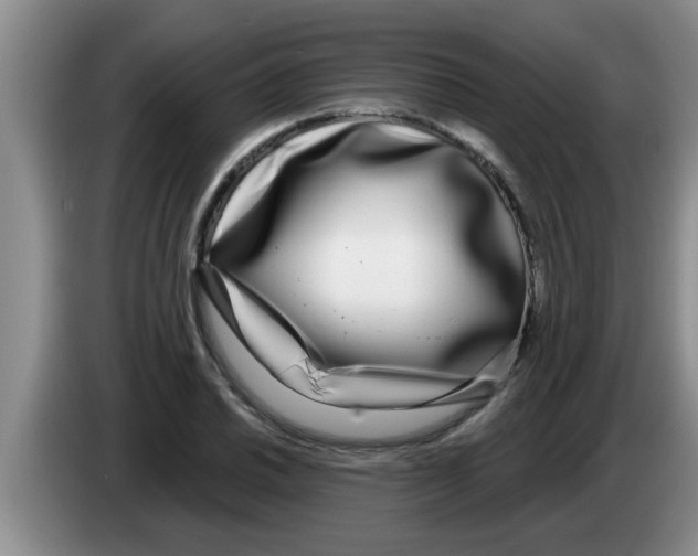 X0000083591030200703091715