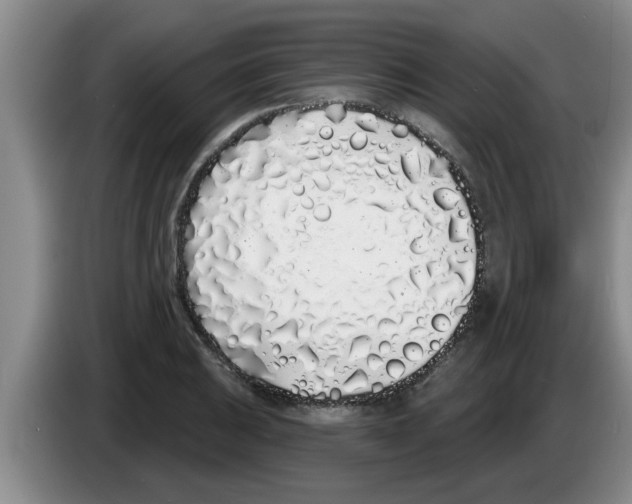 X0000083591031200703091715