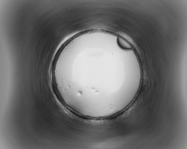 X0000083591032200703091715