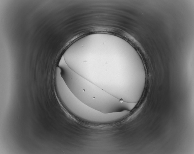 X0000083591033200703091715