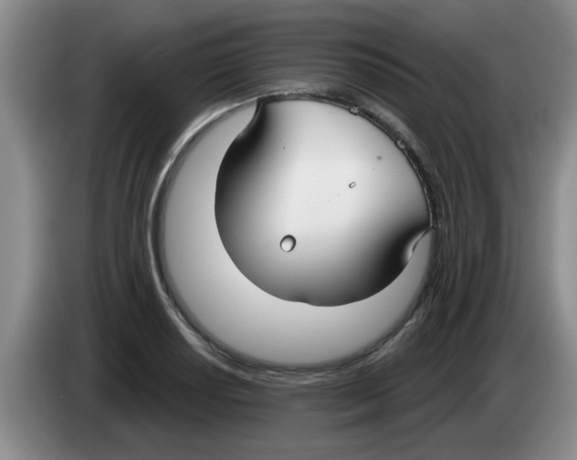 X0000083591034200703091715