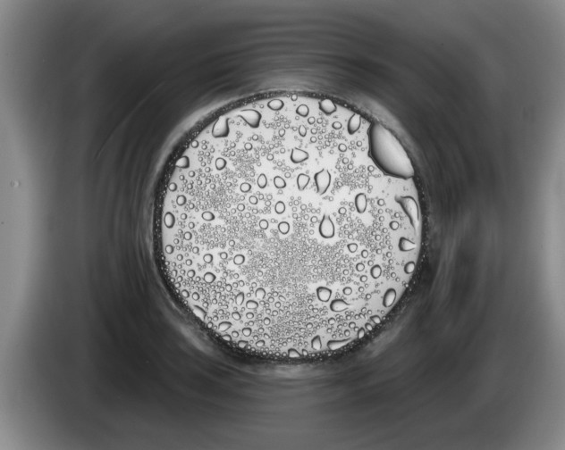 X0000083591035200703091715