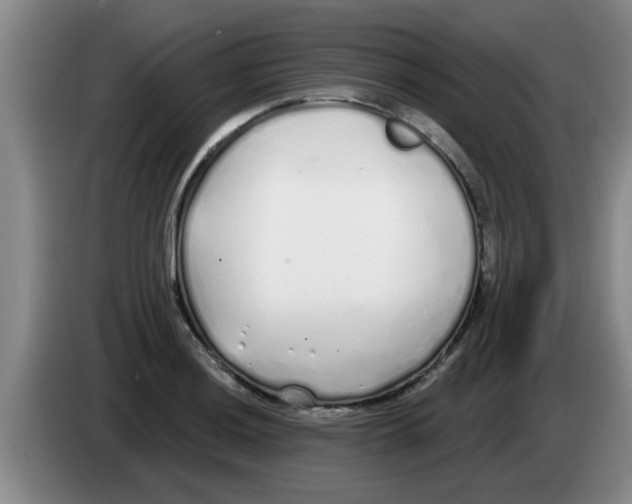 X0000083591036200703091715