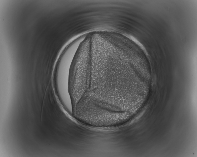 X0000083591037200703091715