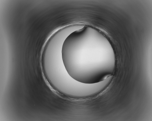 X0000083591038200703091715
