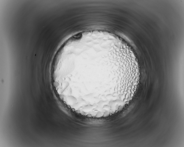 X0000083591039200703091715