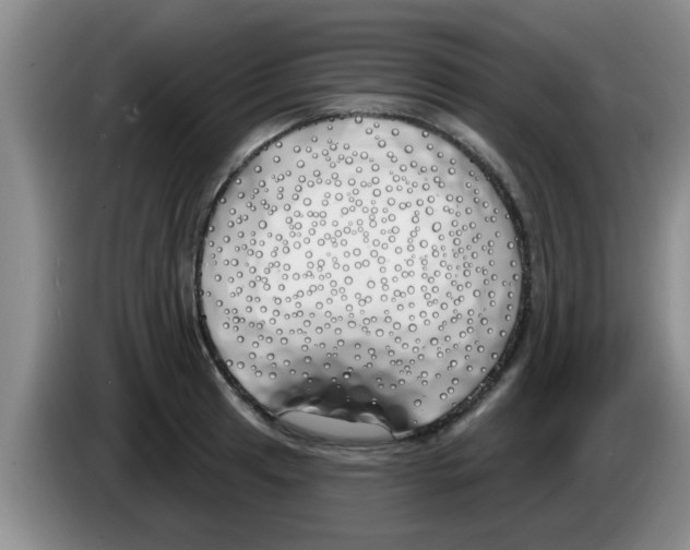 X0000083591041200703091715