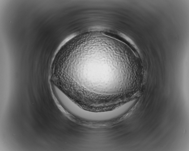 X0000083591042200703091715