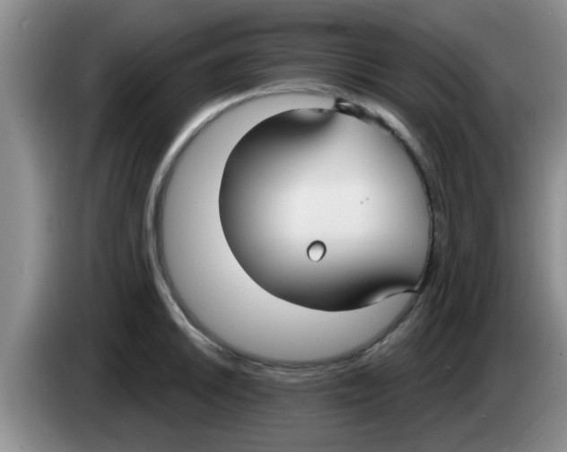 X0000083591046200703091715