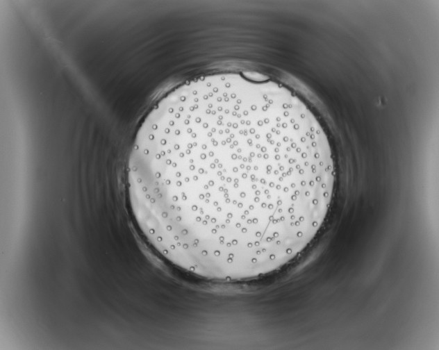 X0000083591049200703091715