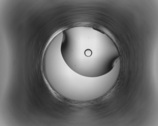 X0000083591050200703091715