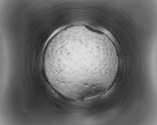 X0000083591052200703091715