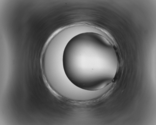 X0000083591054200703091715