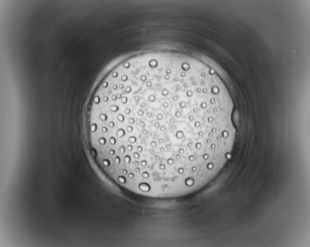X0000083591055200703091715