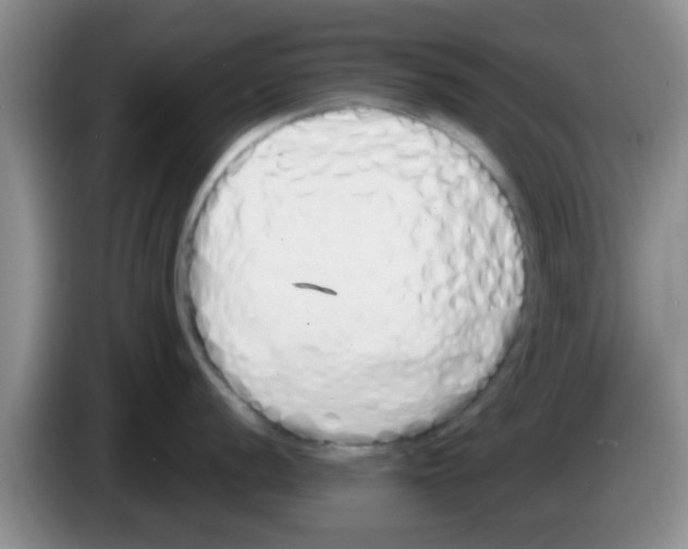 X0000083591056200703091715