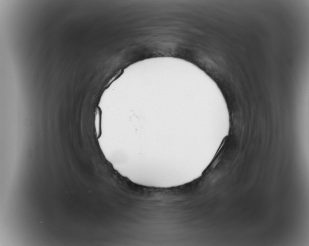 X0000083591057200703091714