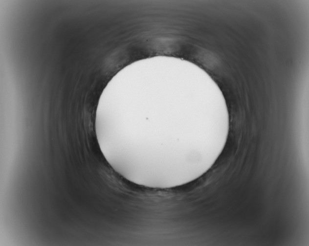 X0000083591058200703091714
