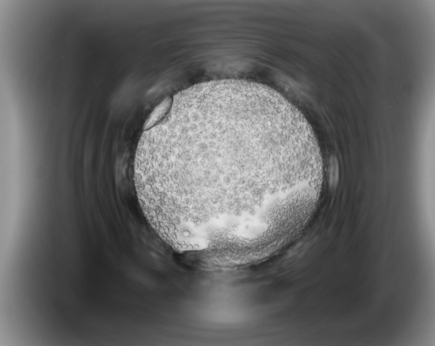 X0000083591059200703091714