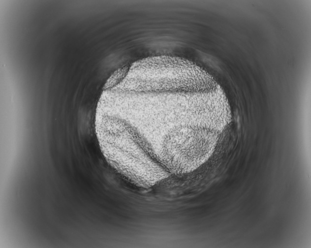 X0000083591060200703091714