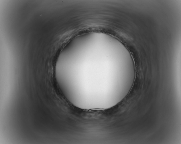 X0000083591061200703091714