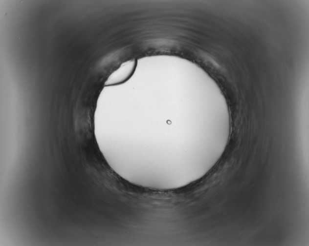 X0000083591062200703091714