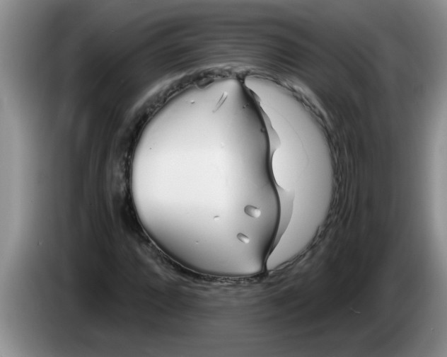 X0000083591064200703091714