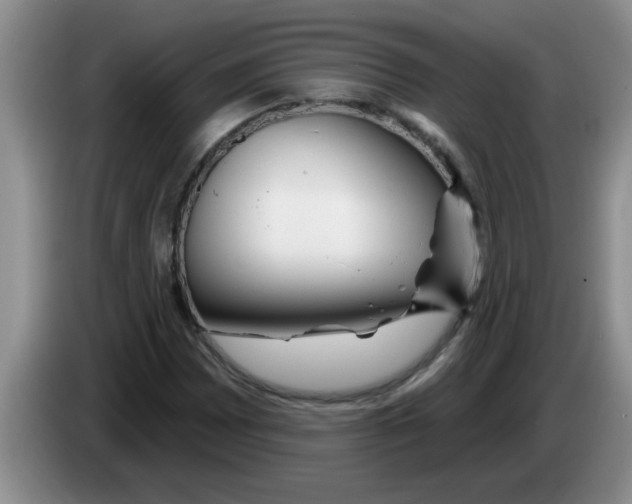 X0000083591065200703091714