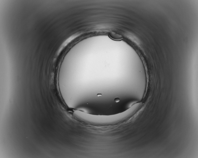 X0000083591066200703091714
